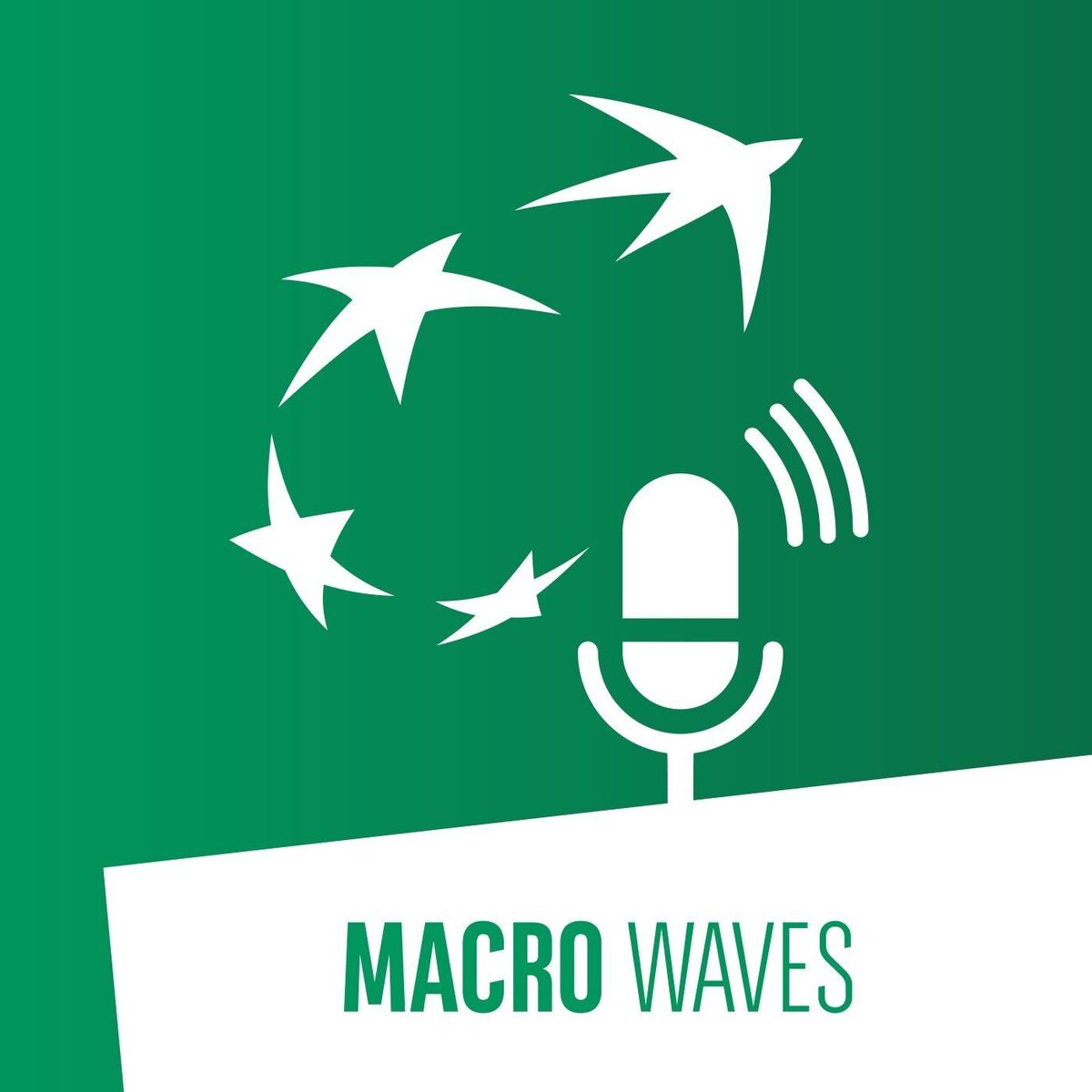 Show cover of Macro Waves