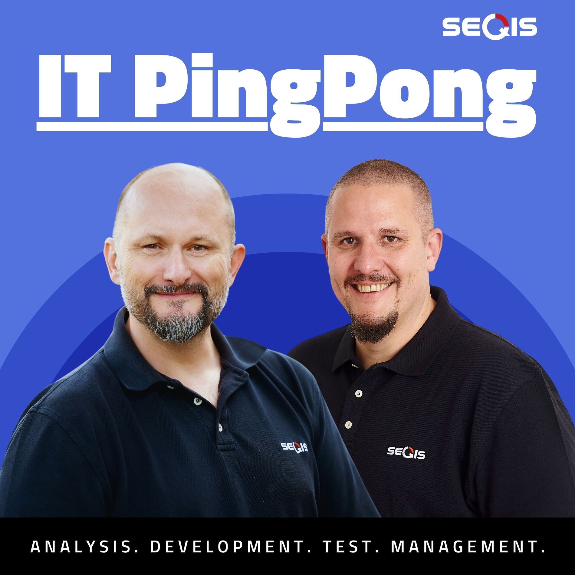 Show cover of IT PingPong