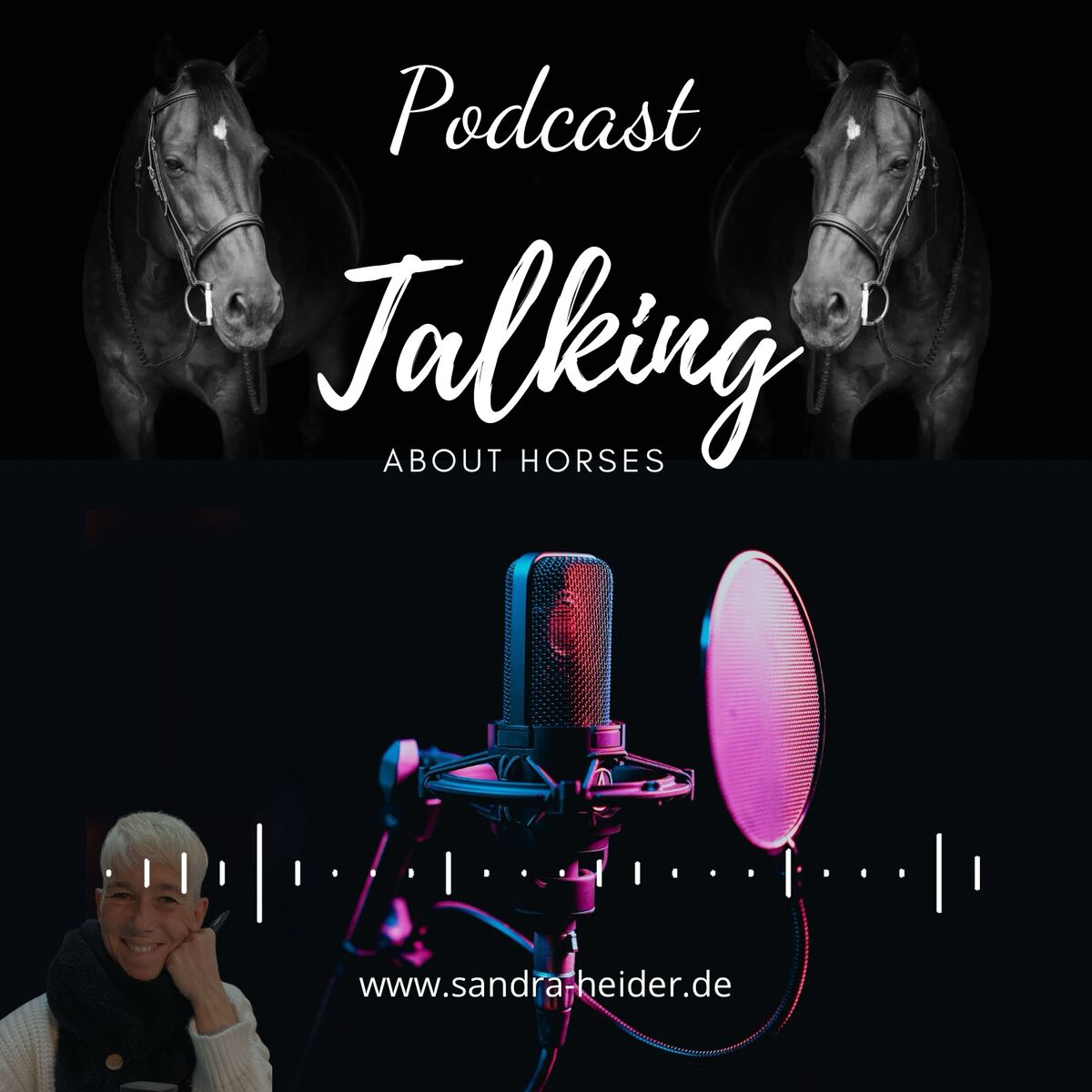 Show cover of Talking about Horses
