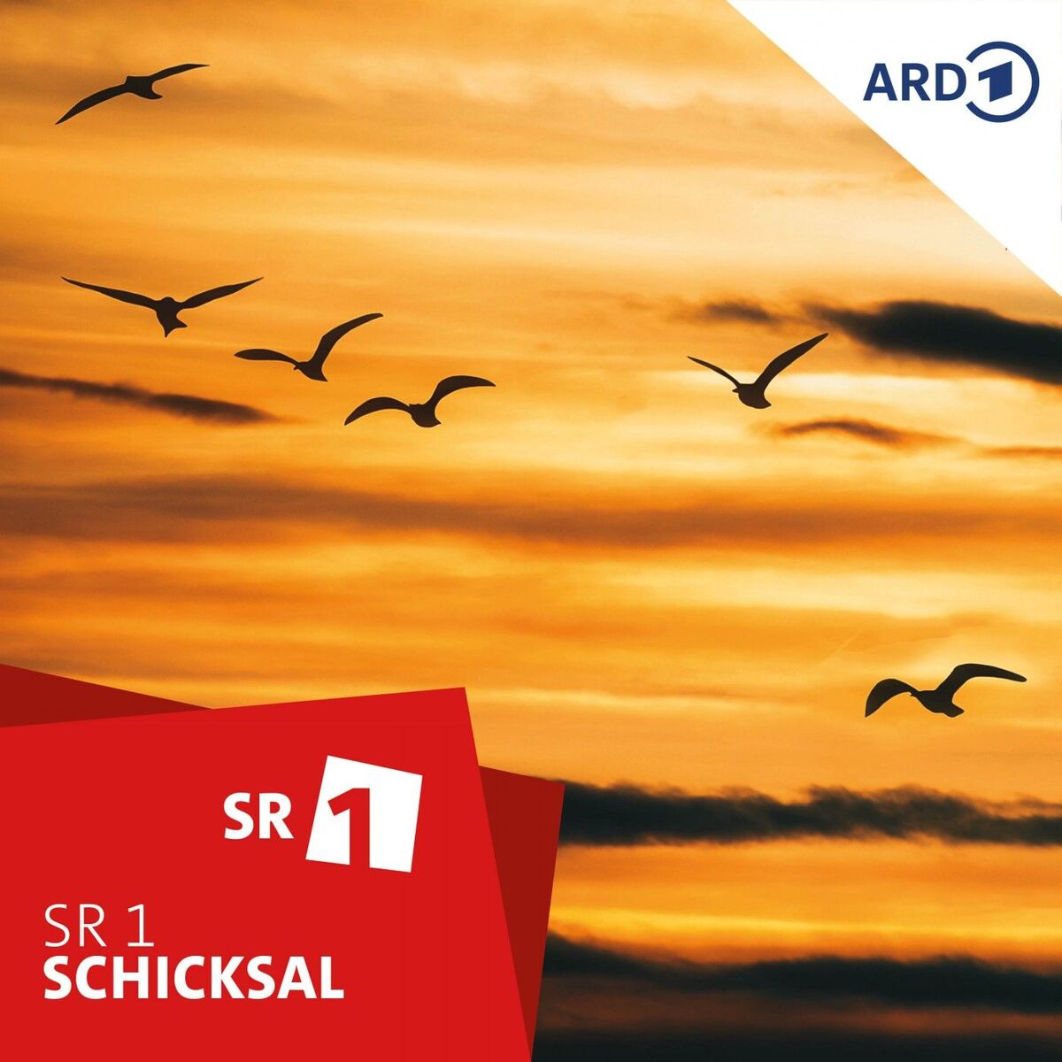 Show cover of Schicksal - der SR 1-Podcast über das Leben