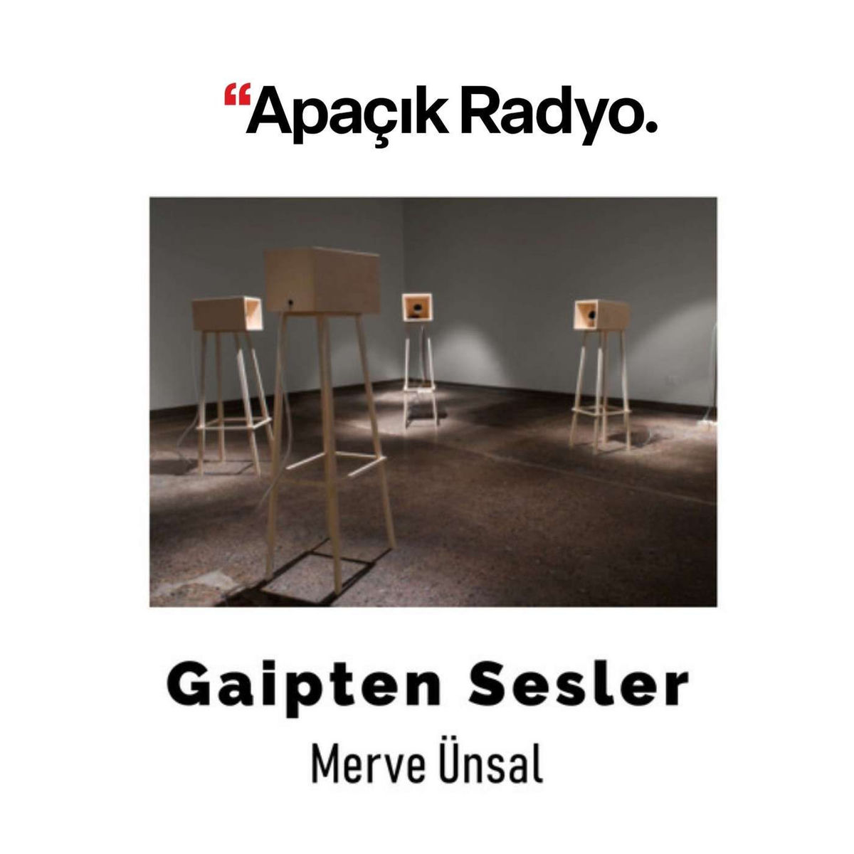 Show cover of Gaipten Sesler