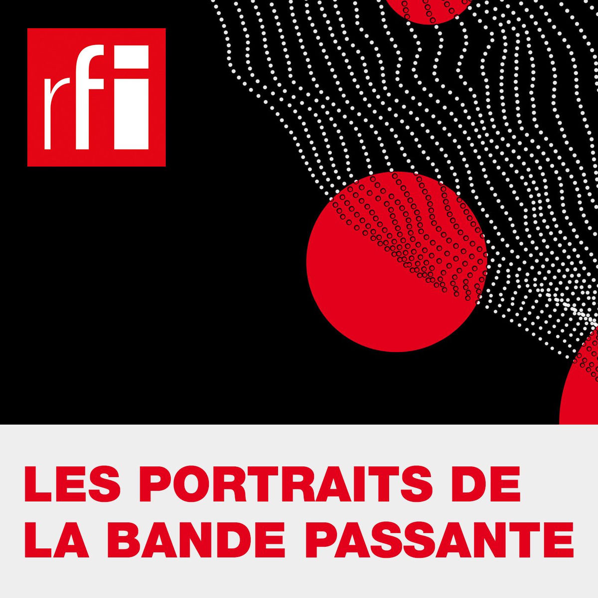 Show cover of Les portraits de la bande passante