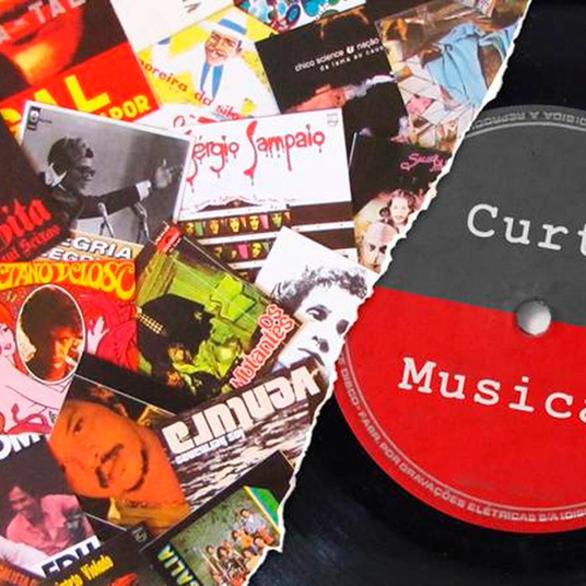 Show cover of Curta Musical