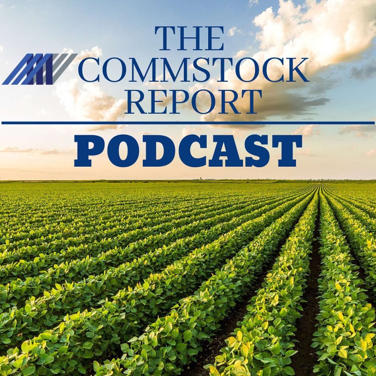 Show cover of The Commstock Report Podcast