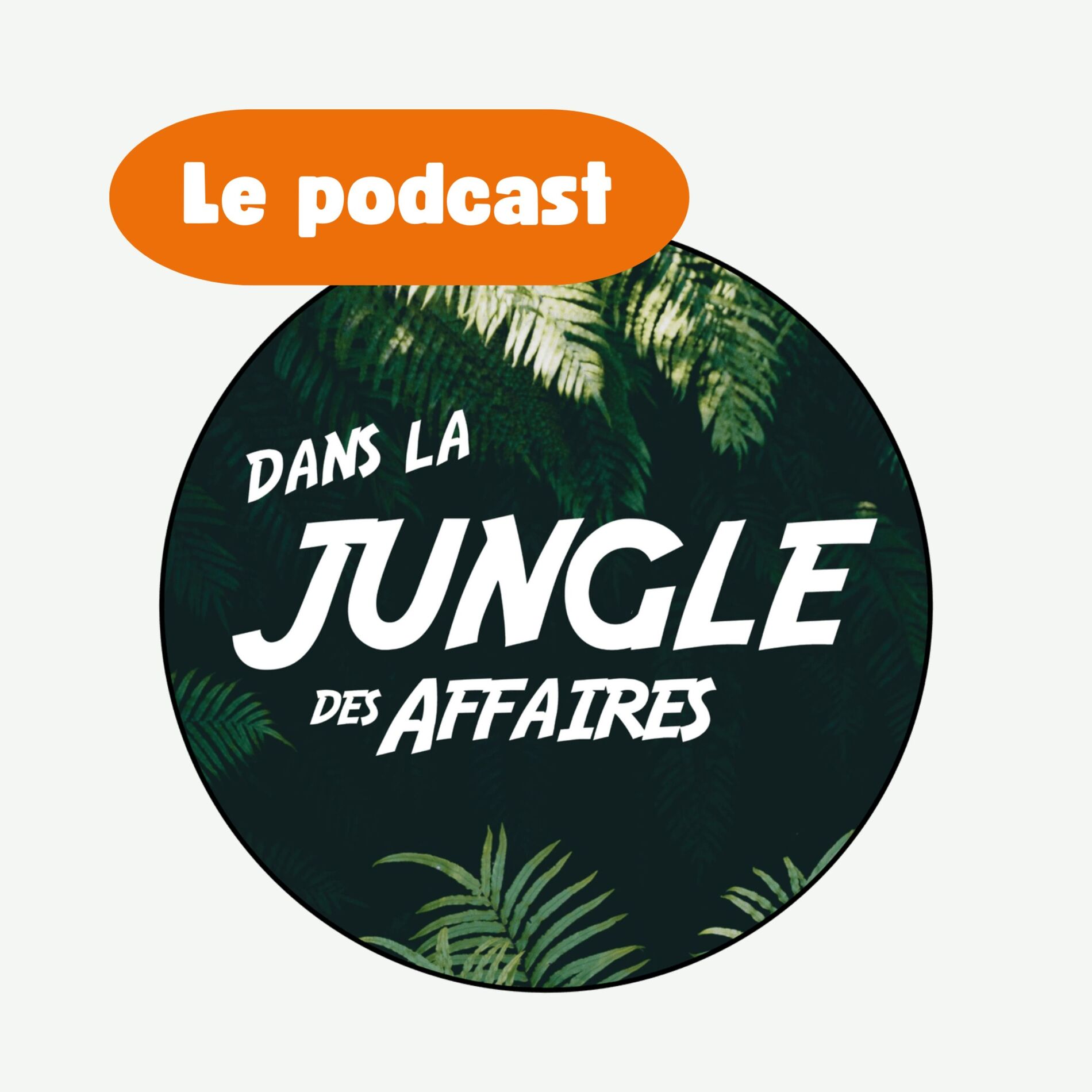 Show cover of Dans la jungle des affaires