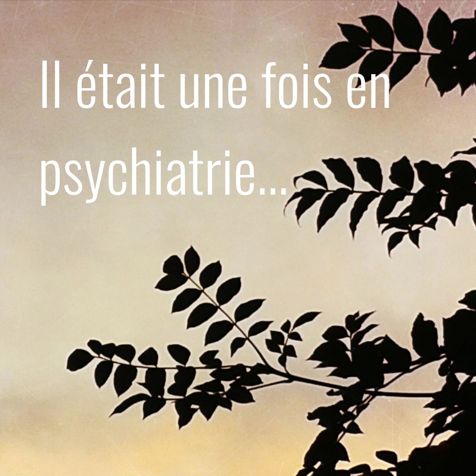 Show cover of Il était une fois en psychiatrie...