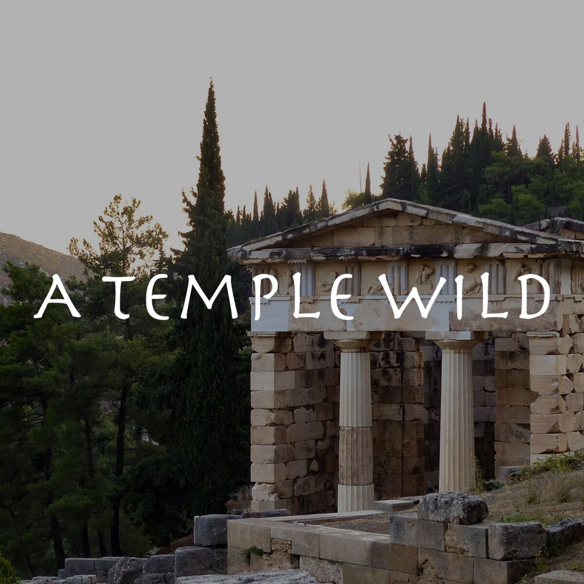 Show cover of A Temple Wild: Greek Mythology and the Mediterranean Landscape