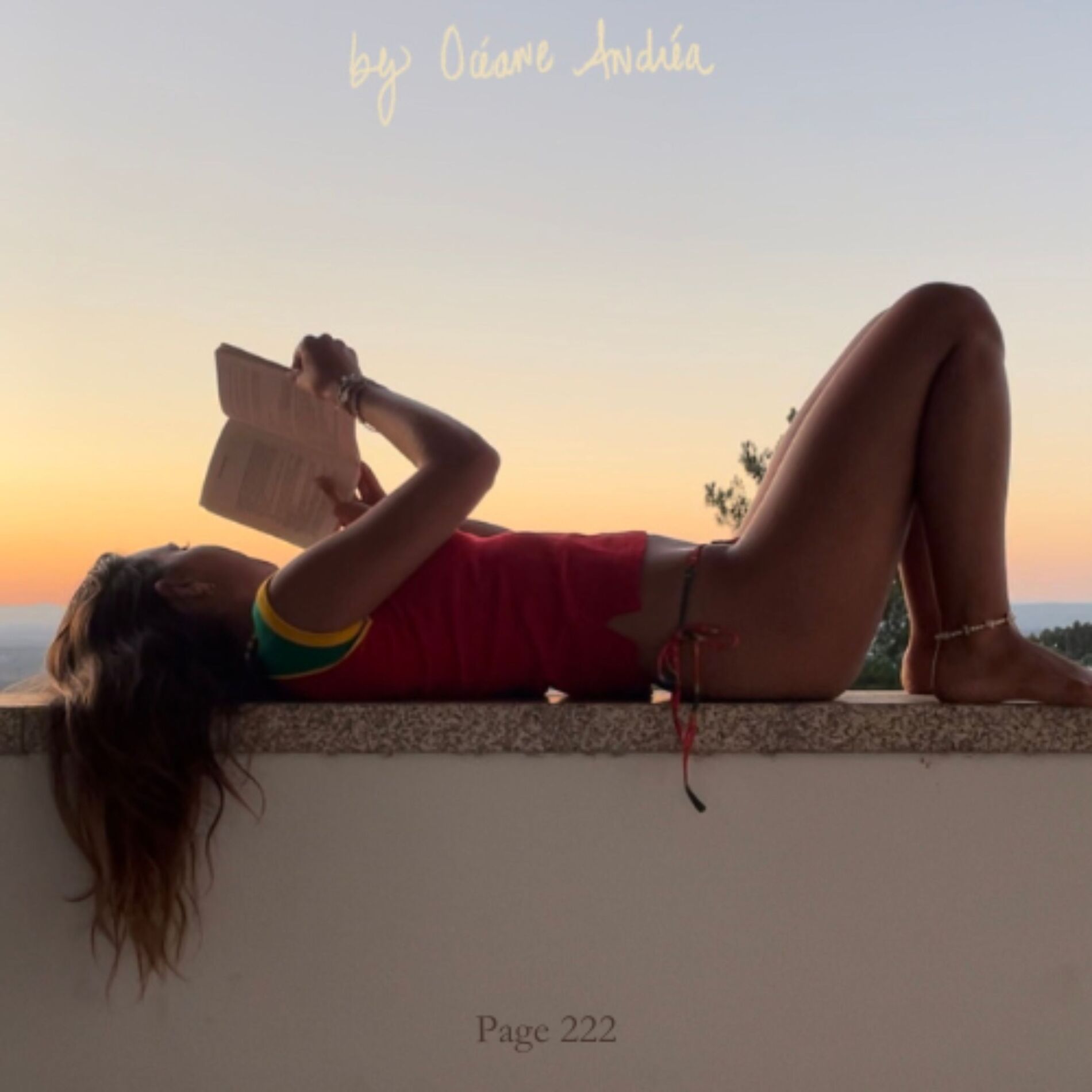 Show cover of Page 222