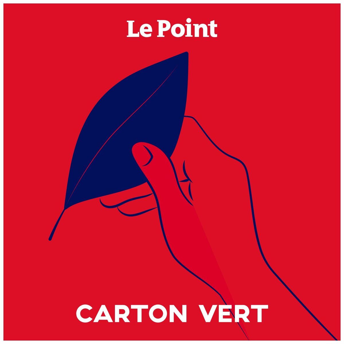 Show cover of Carton vert