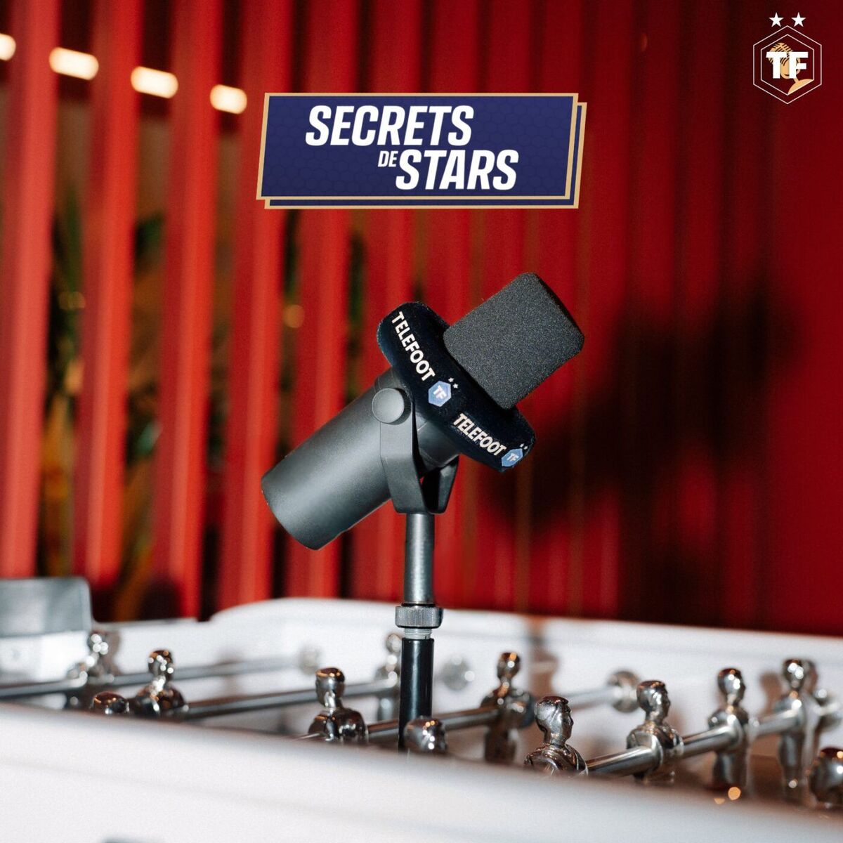 Show cover of SECRETS DE STARS