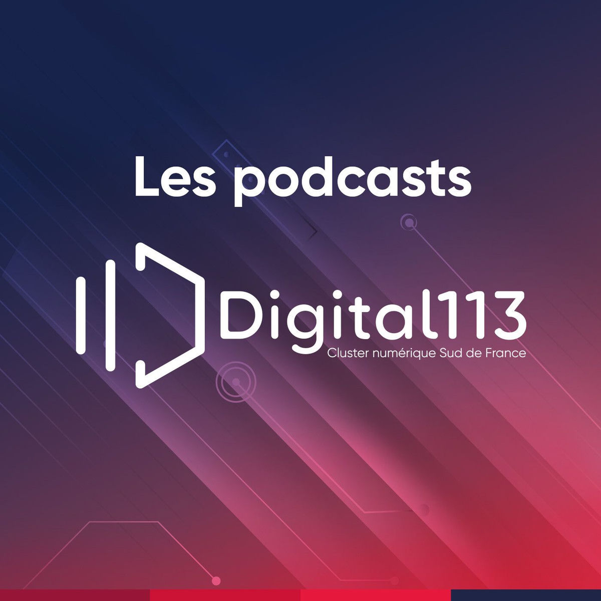 Show cover of Digital 113
