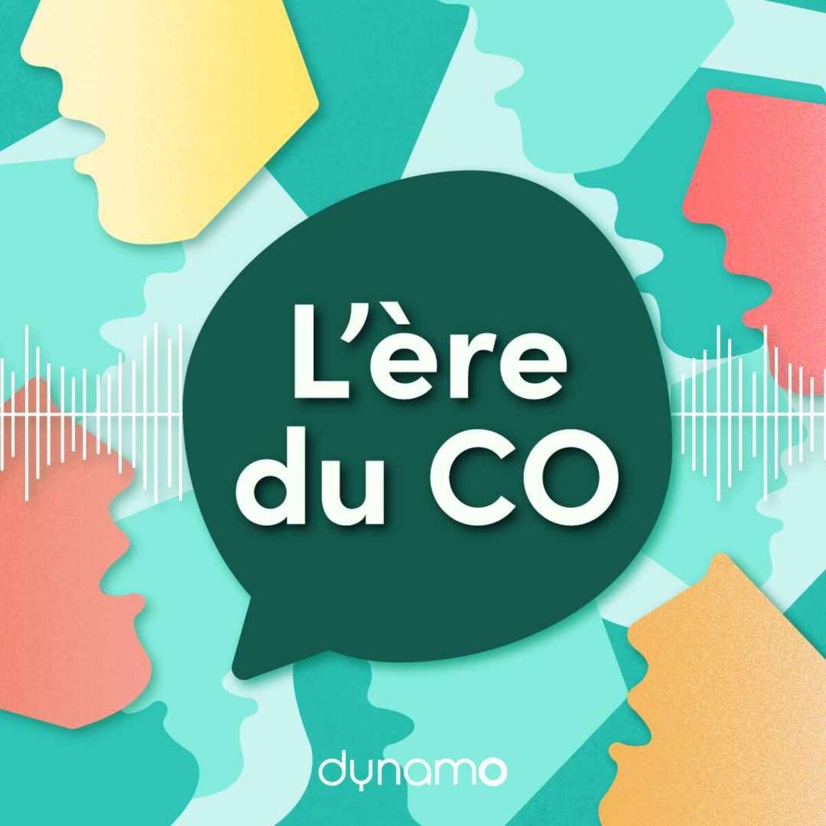 Show cover of L'ère du CO