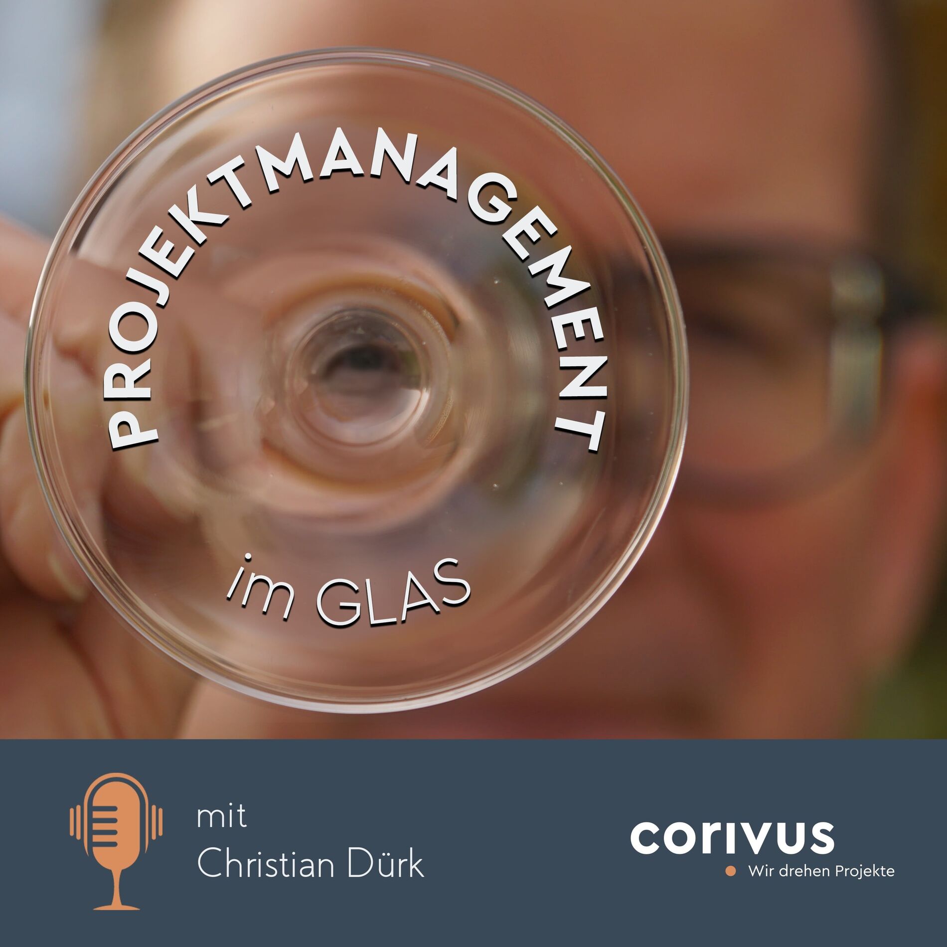 Show cover of Projektmanagement im Glas