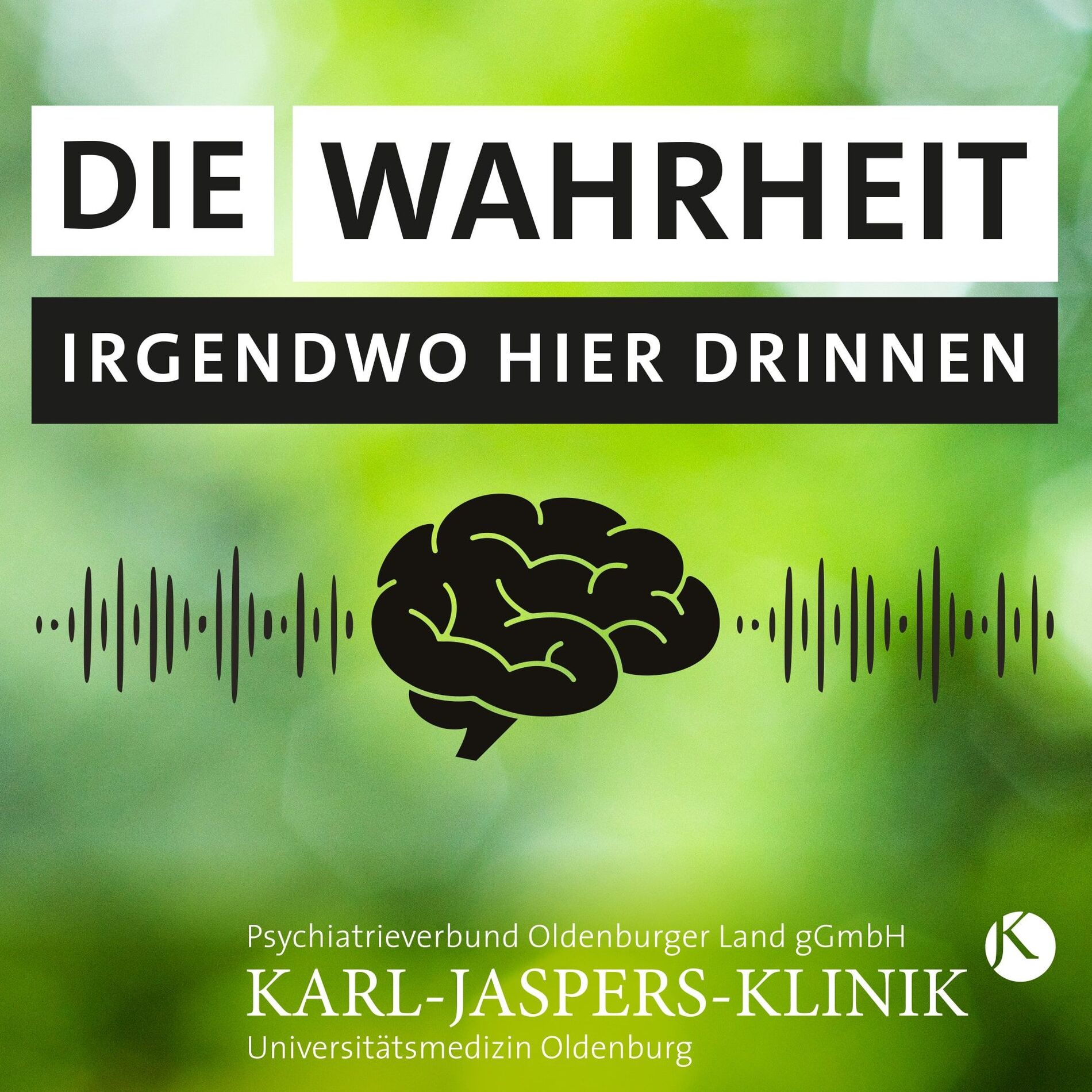 Show cover of Die Wahrheit Irgendwo Hier Drinnen