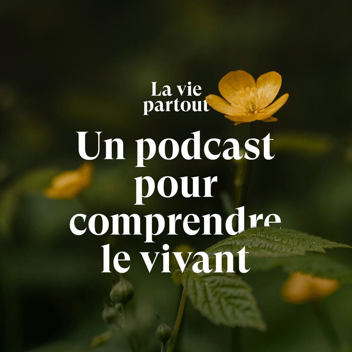 Show cover of La vie partout