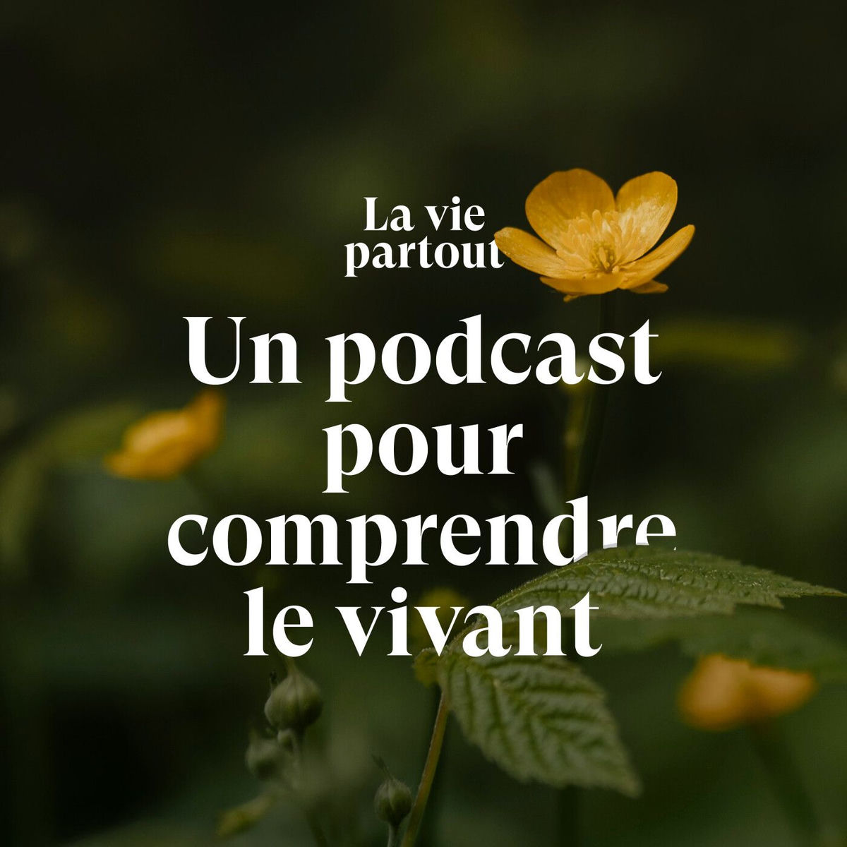 Show cover of La vie partout