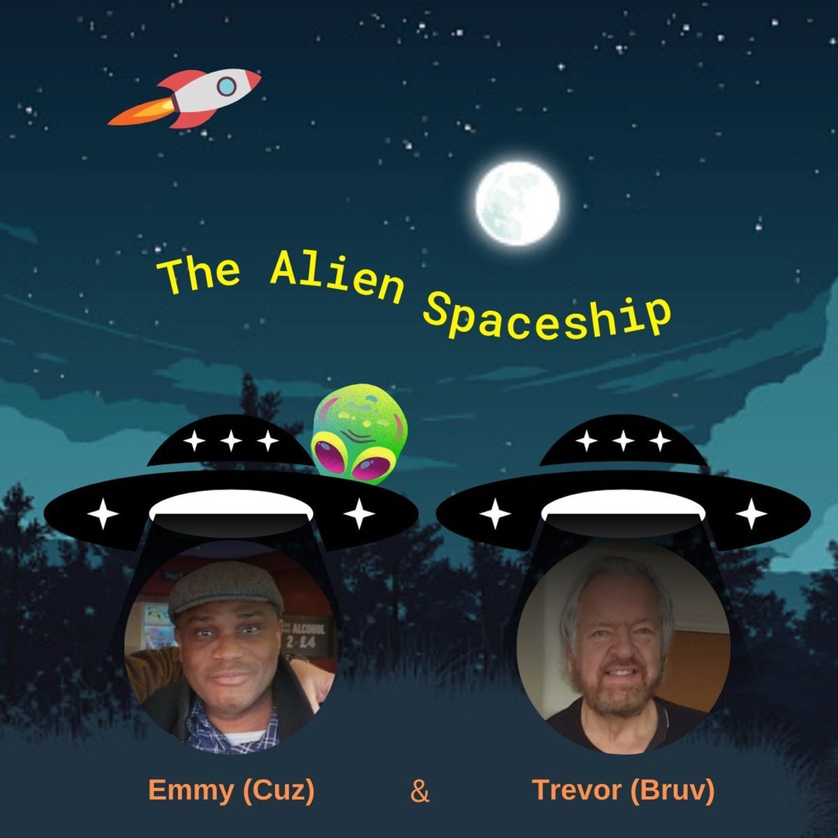 Show cover of THE ALIEN SPACESHIP