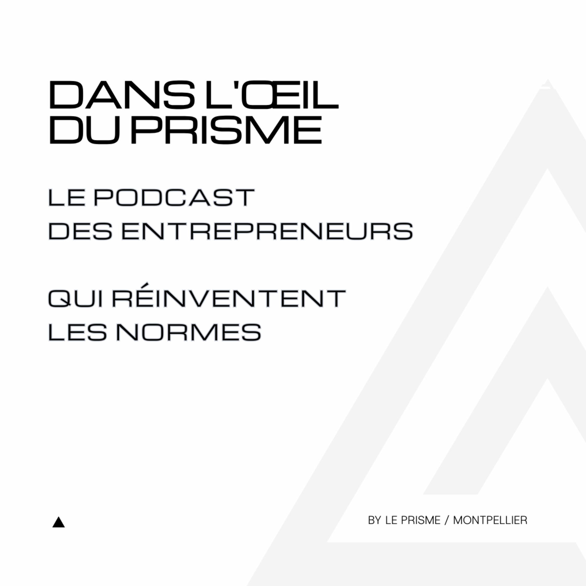 Show cover of Dans l'Oeil du Prisme - Réinventer les normes