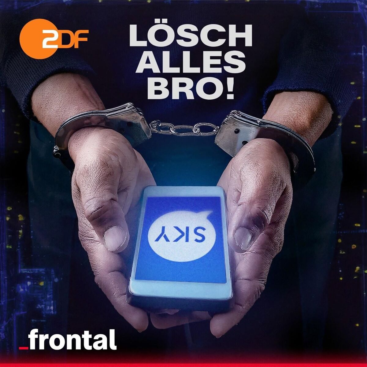 Show cover of Lösch alles, Bro!