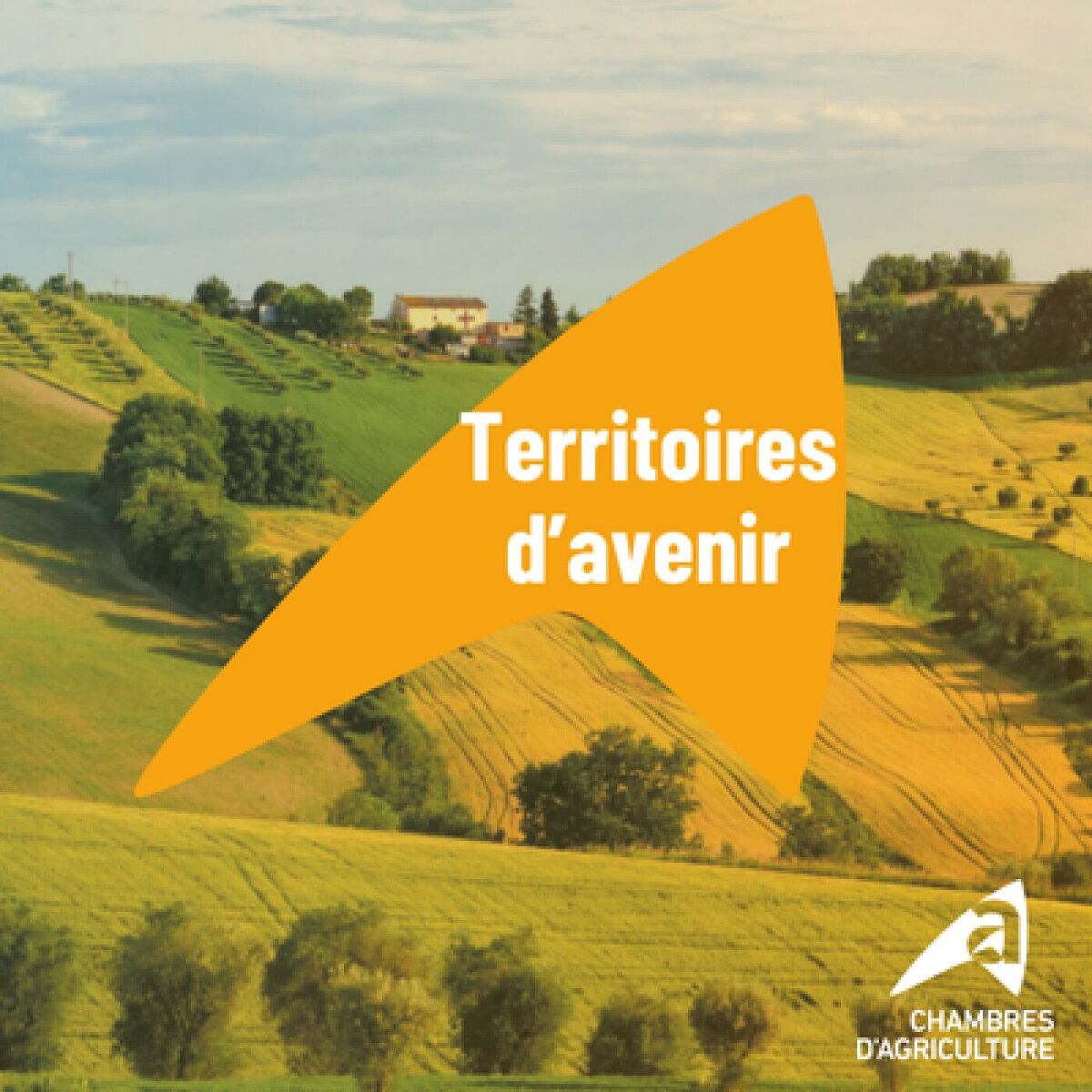 Show cover of Territoires d'avenir par les Chambres d'agriculture