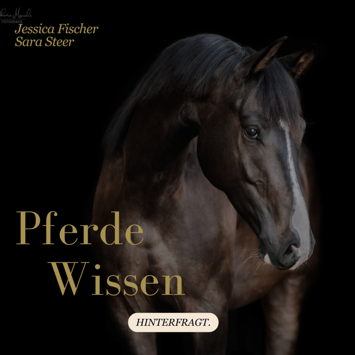 Show cover of Pferdewissen hinterfragt