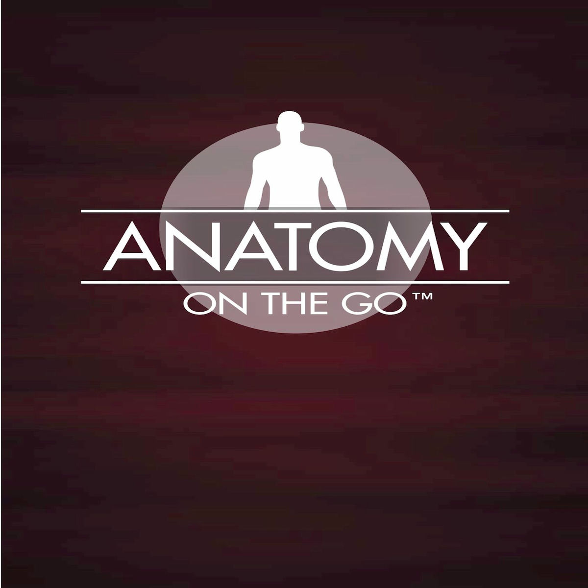 Show cover of Anatomy On The Go