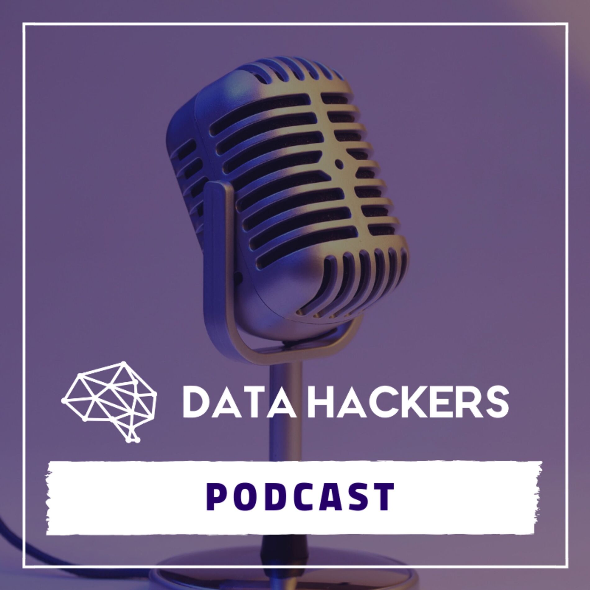Show cover of Data Hackers