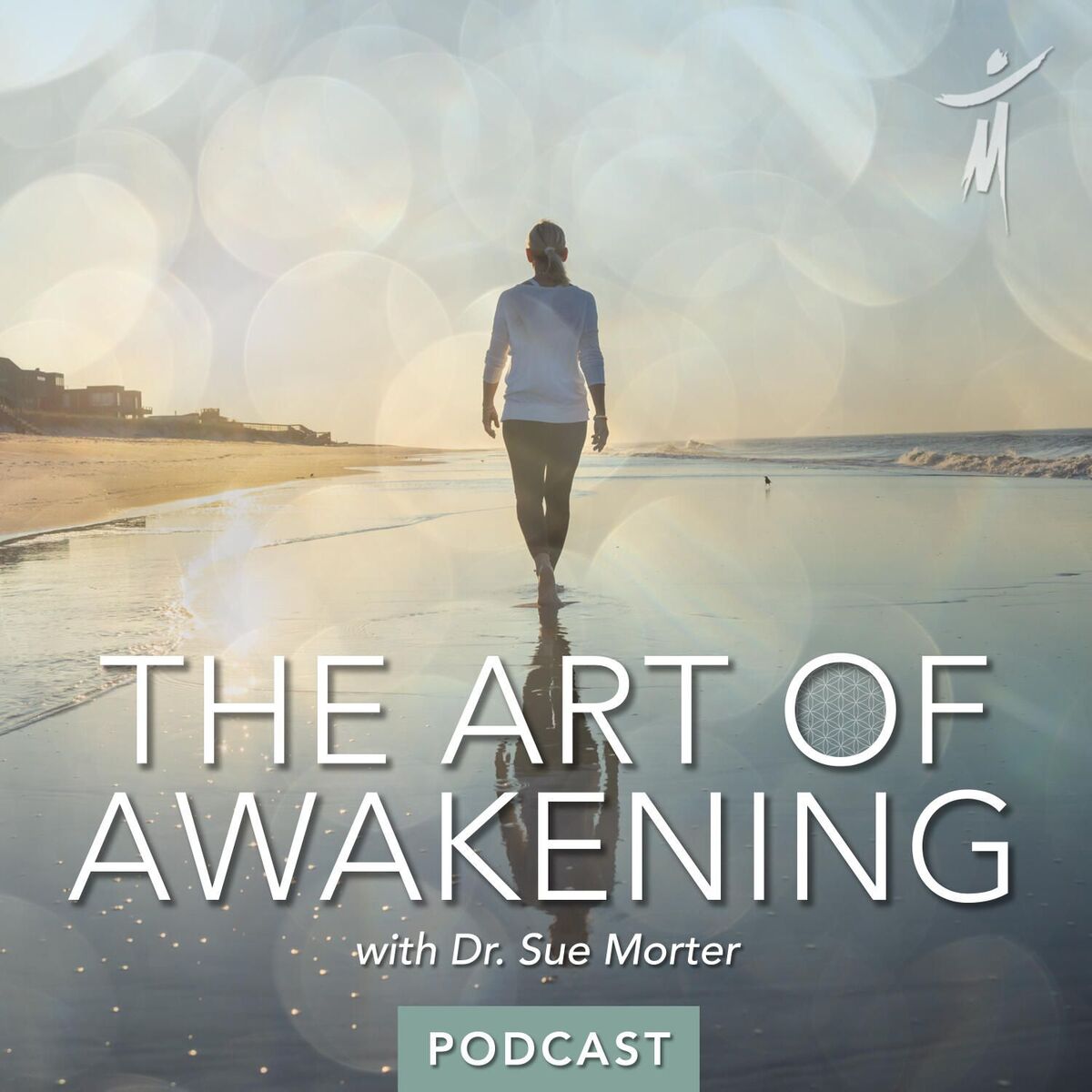 Show cover of The Art of Awakening