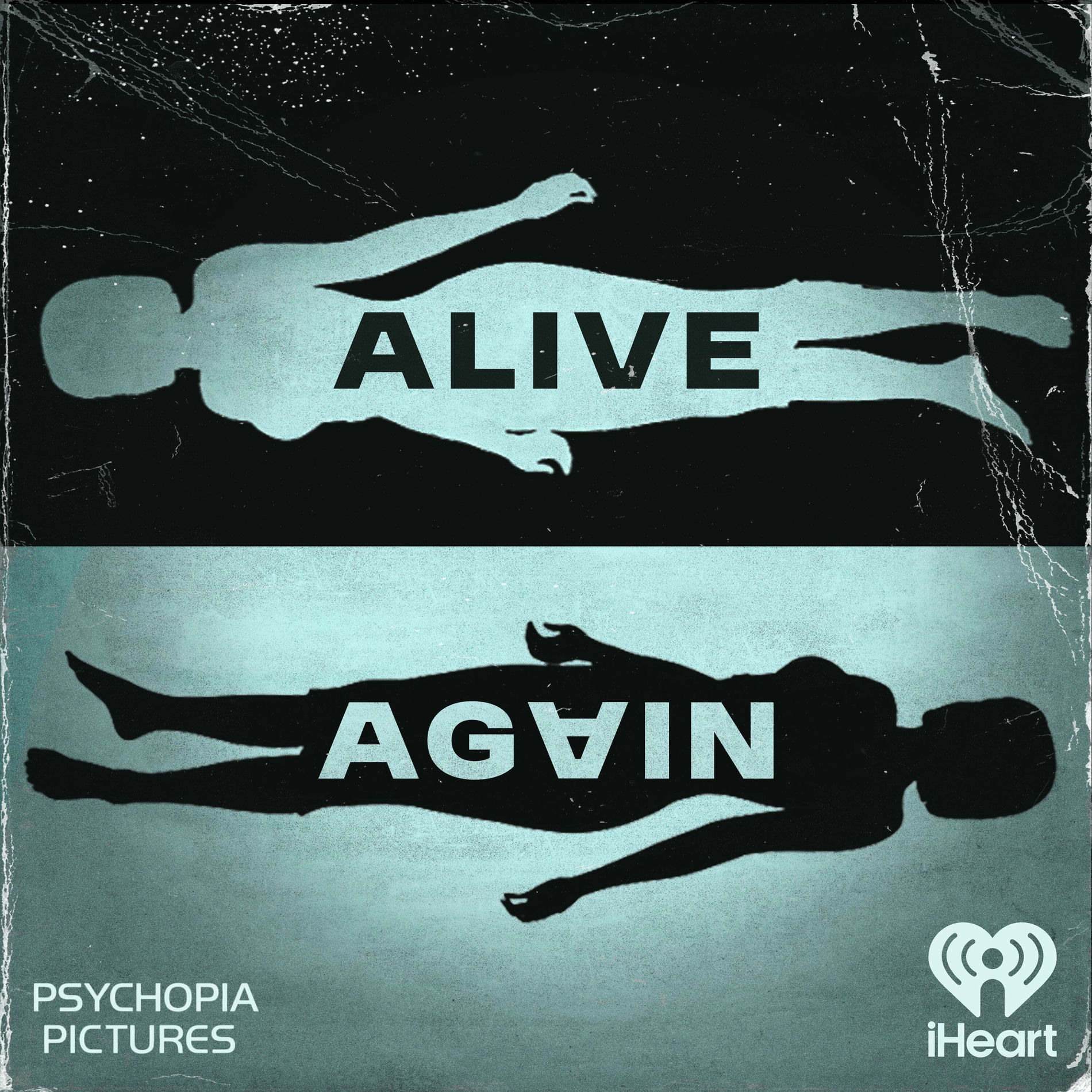 Show cover of Alive Again