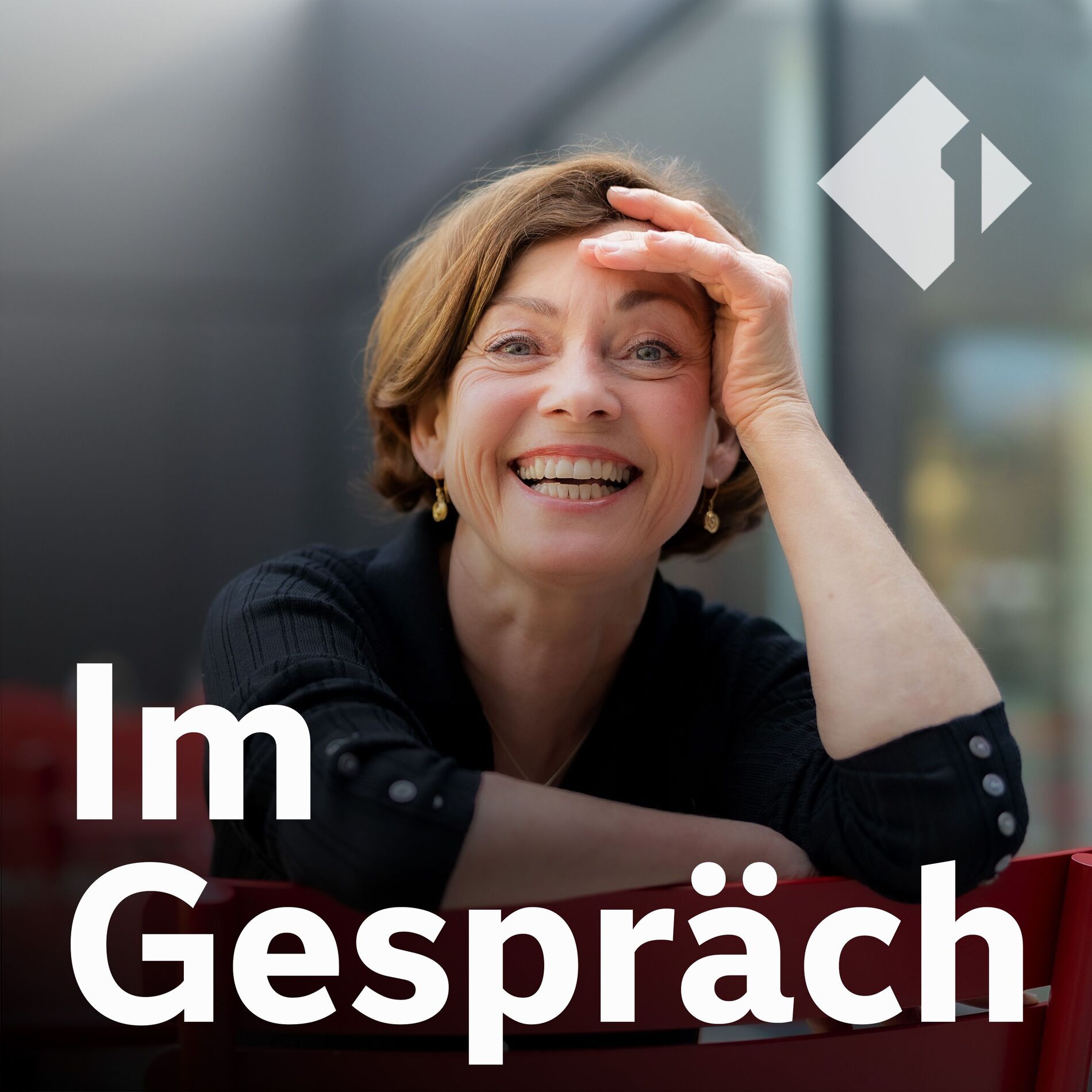 Show cover of Im Gespräch