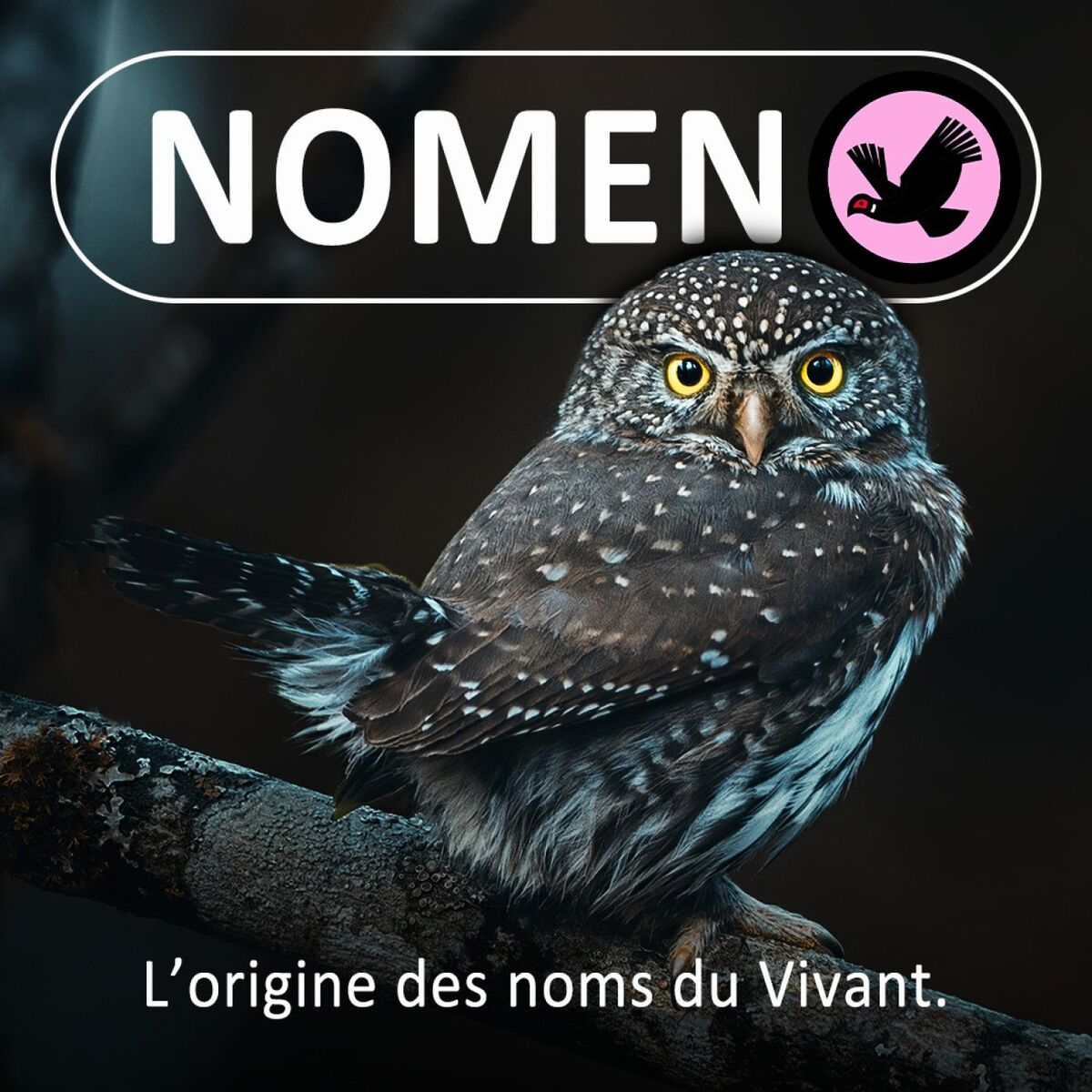 Show cover of Nomen