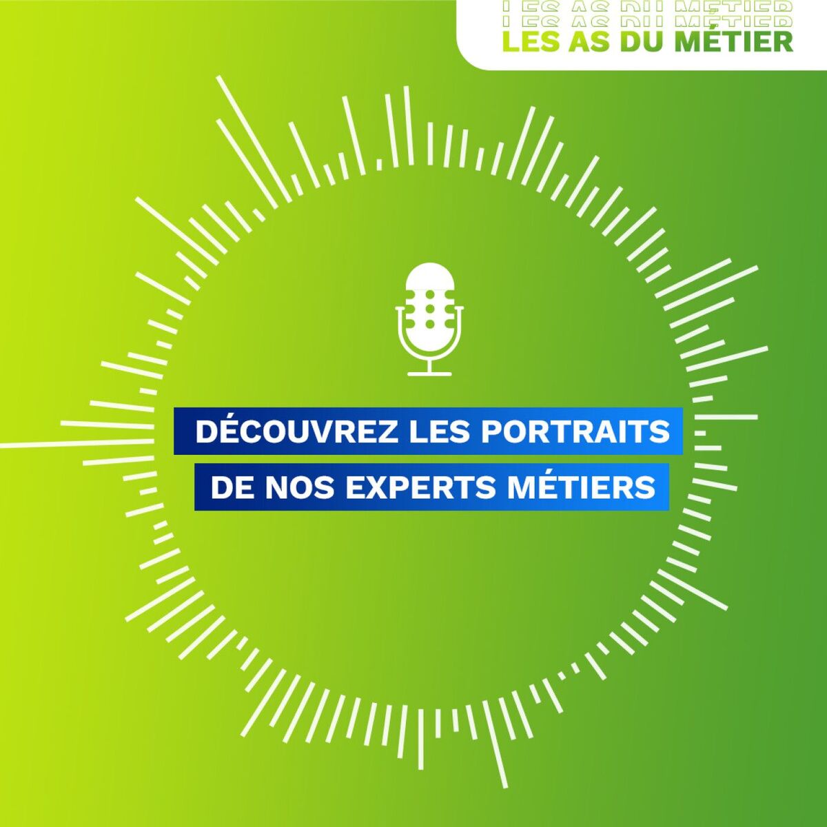 Show cover of Les As du métier