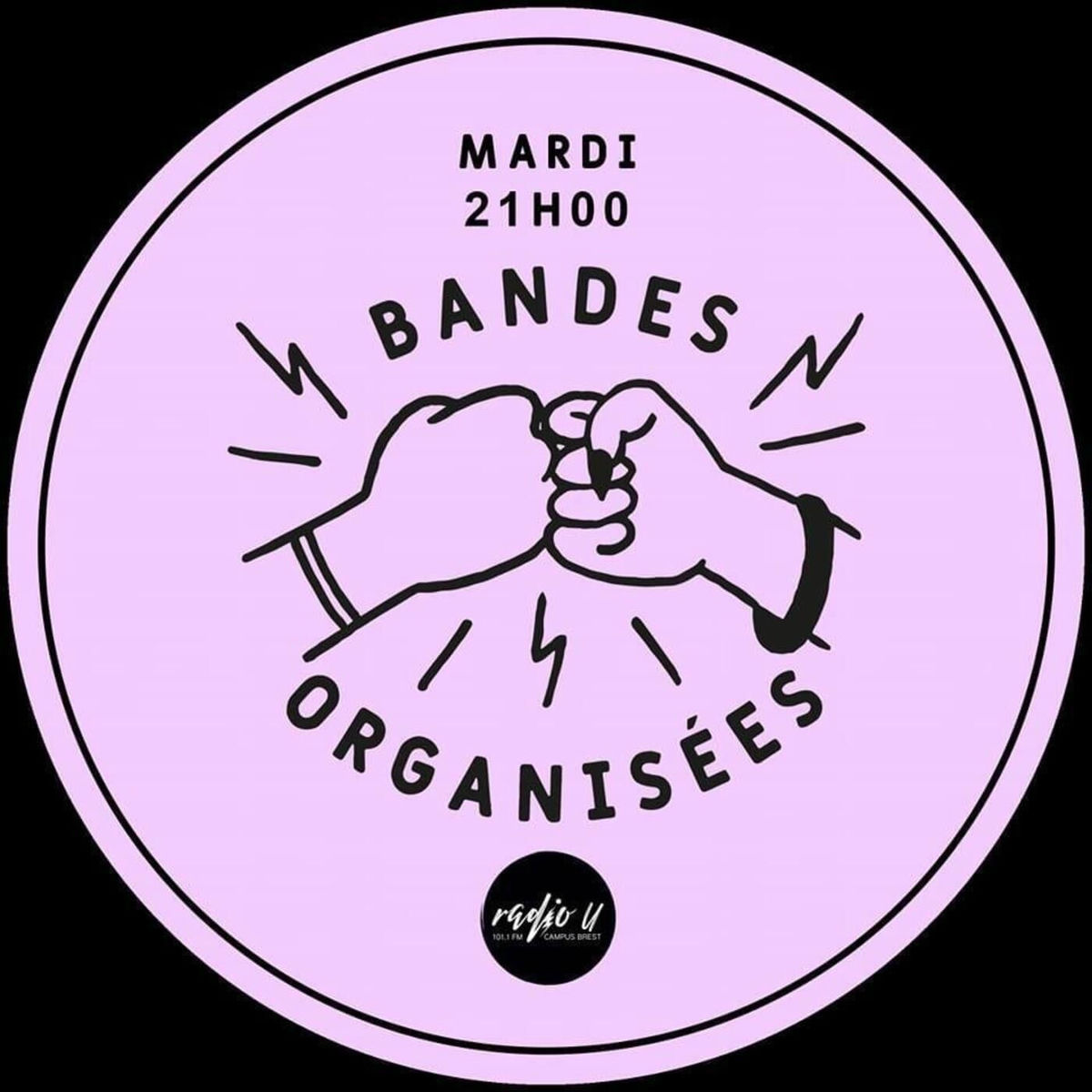 Show cover of Bandes Organisées