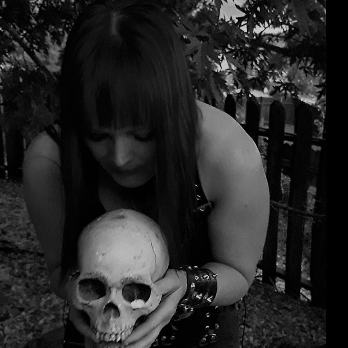 Show cover of Metal Fury Show