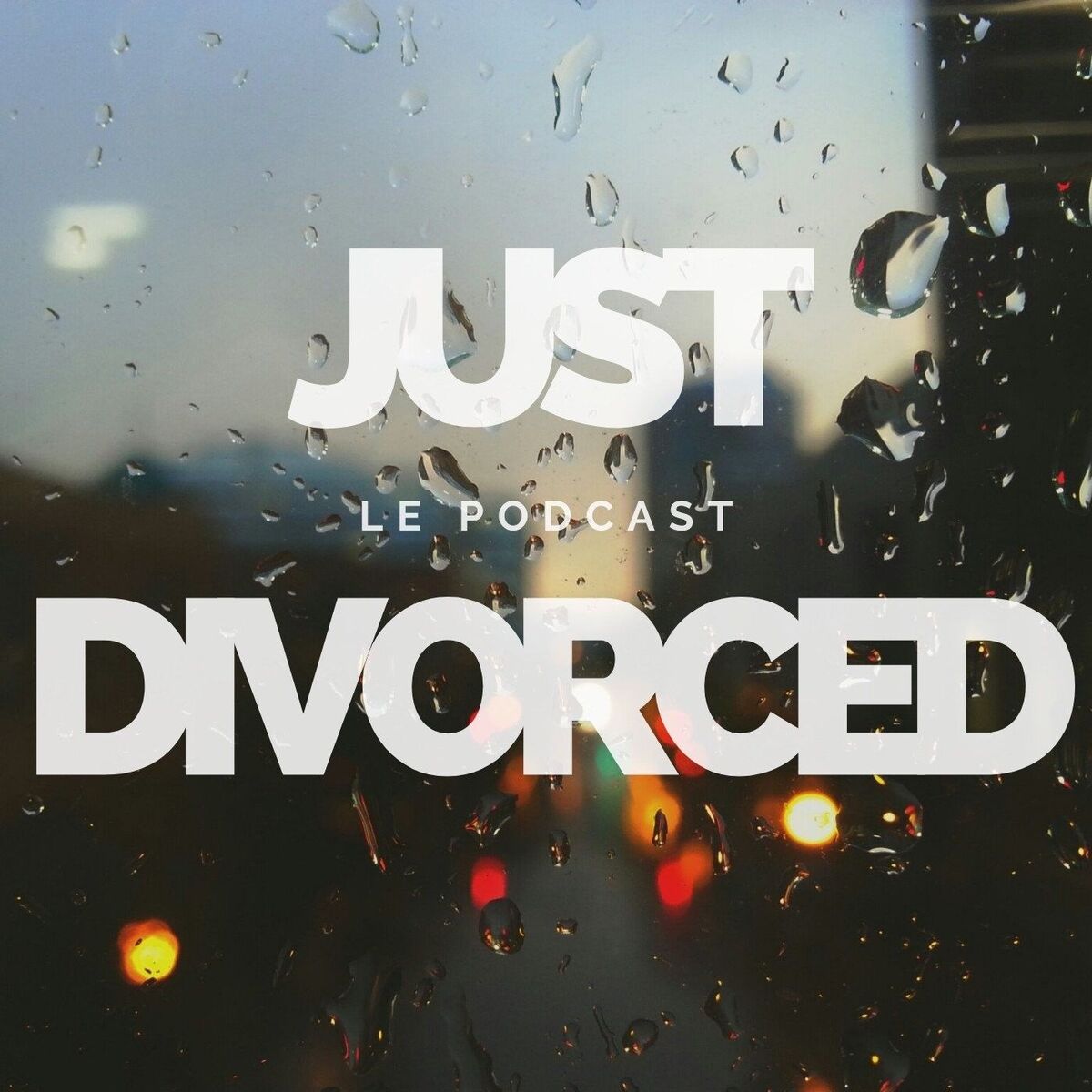 Show cover of Just divorced