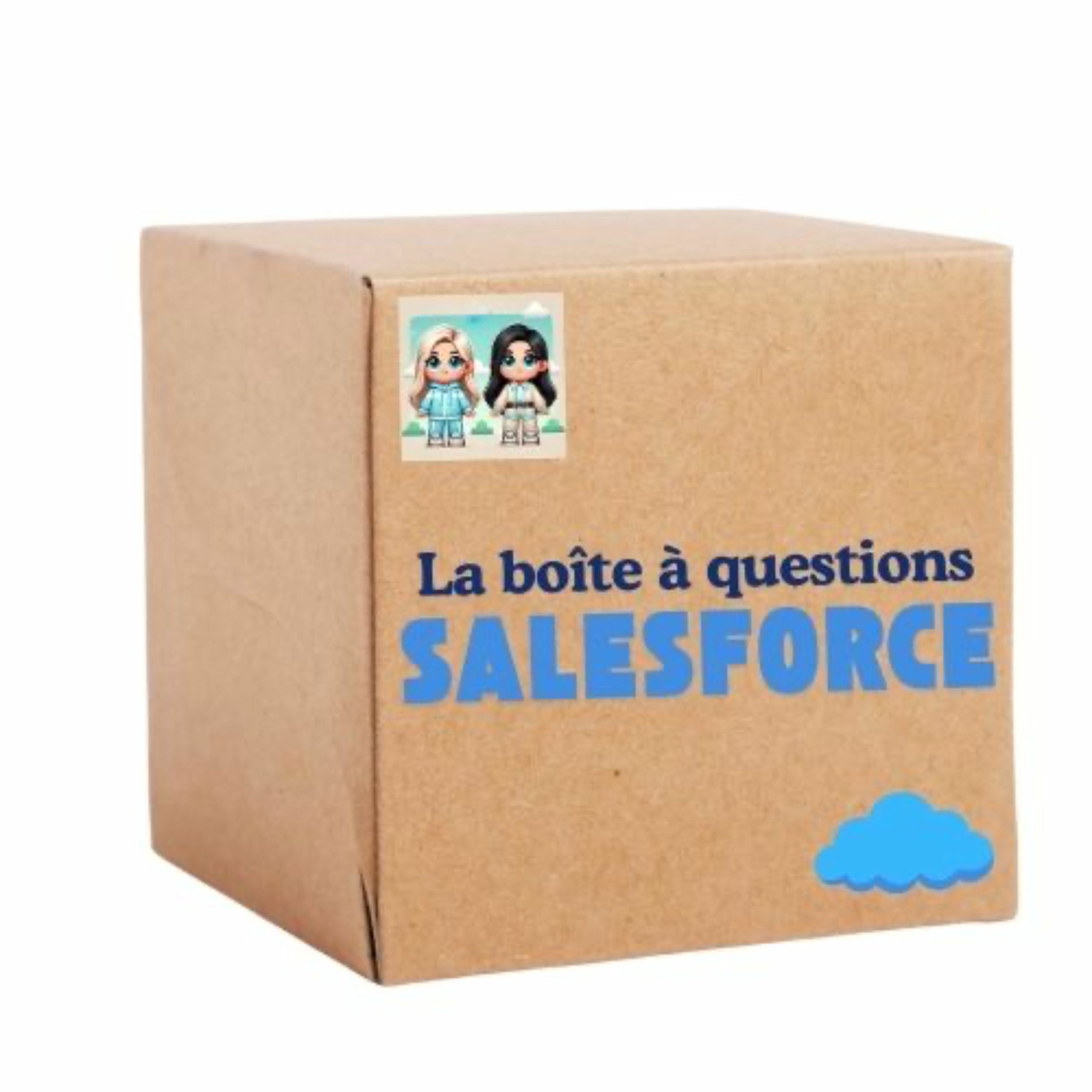 Show cover of La boîte à questions Salesforce de Florence et Graziella