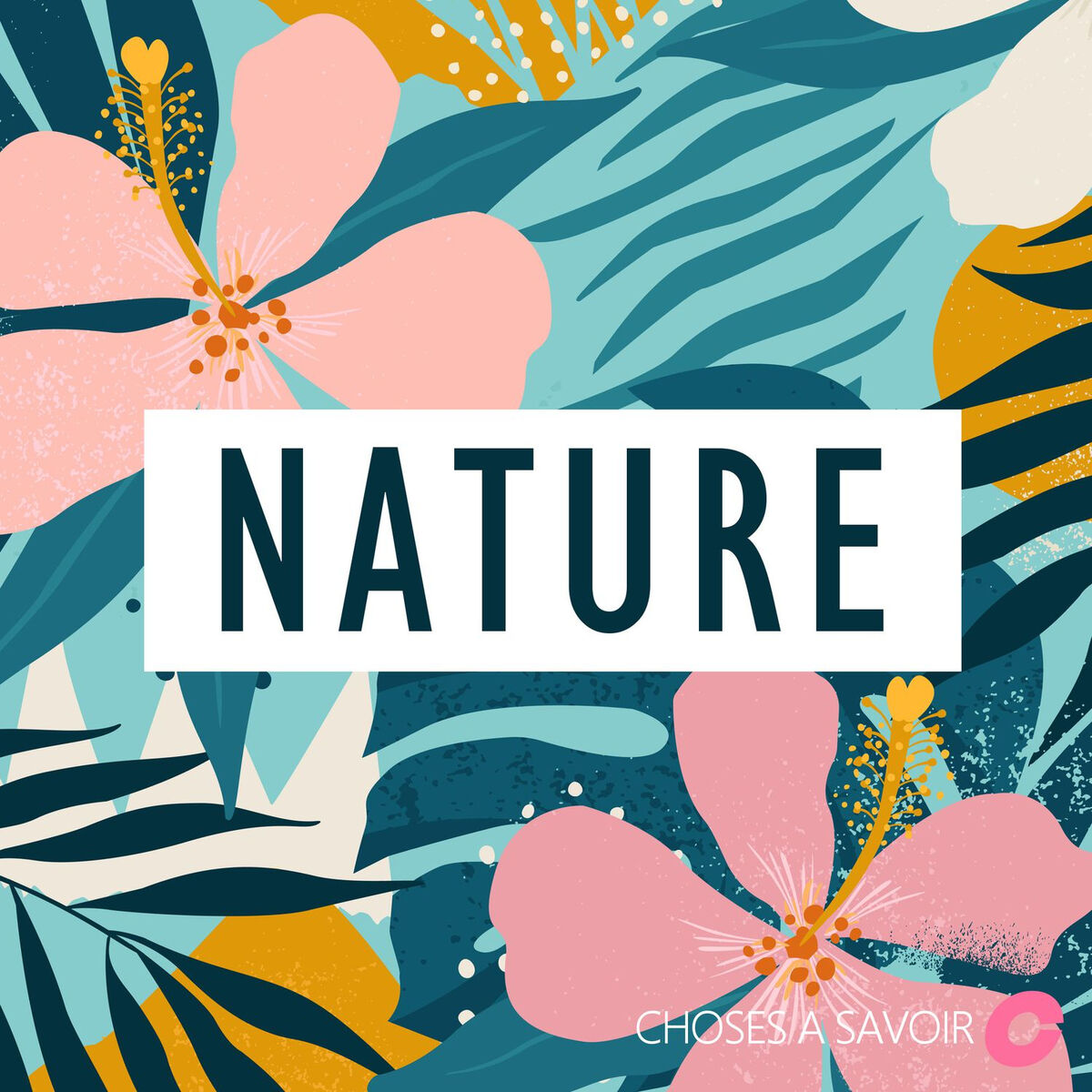 Show cover of Choses à Savoir NATURE