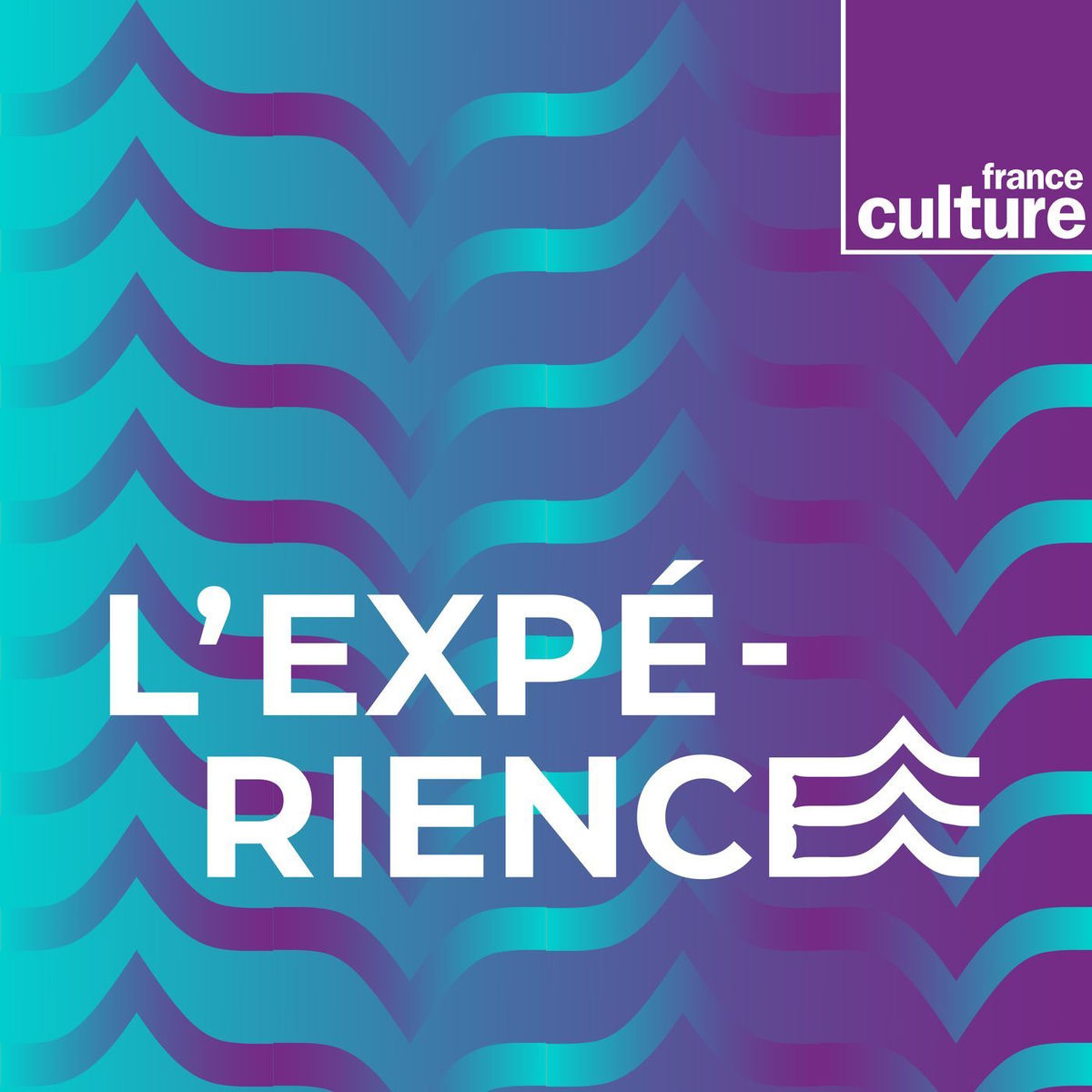 Show cover of L'Expérience