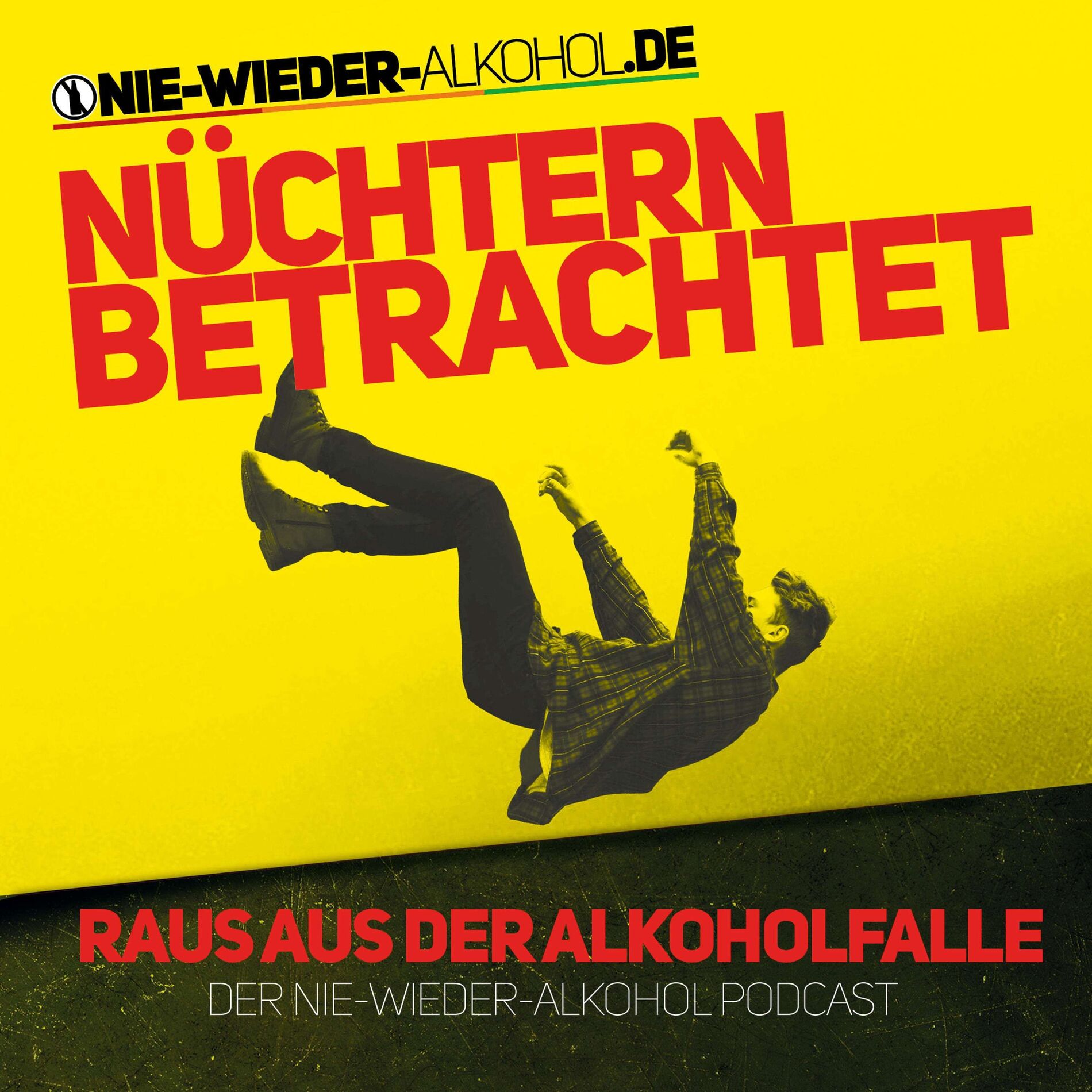 Show cover of Nüchtern betrachtet - Der 
