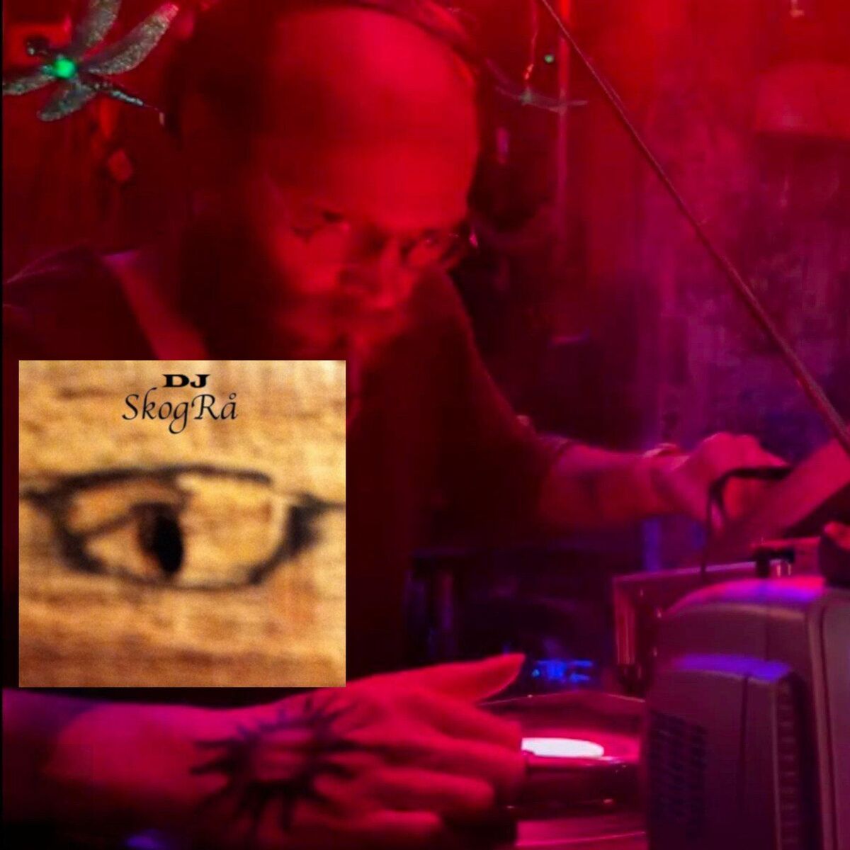 Show cover of DJ SkogRå Mixes & Songs
