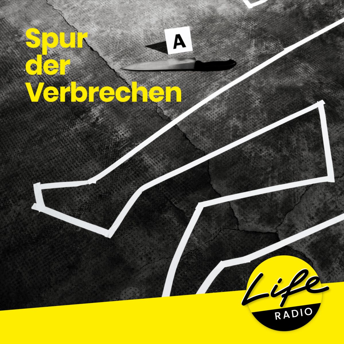 Show cover of Spur der Verbrechen - Oberösterreichs spektakulärste Kriminalfälle