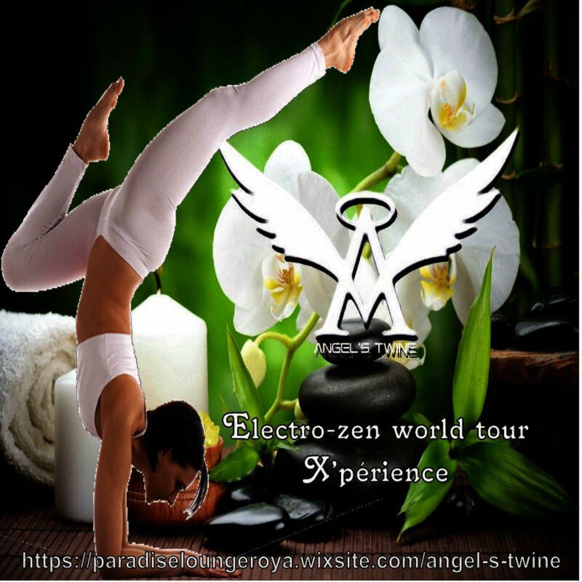 Show cover of Electro-Zen World Tour X'Périence