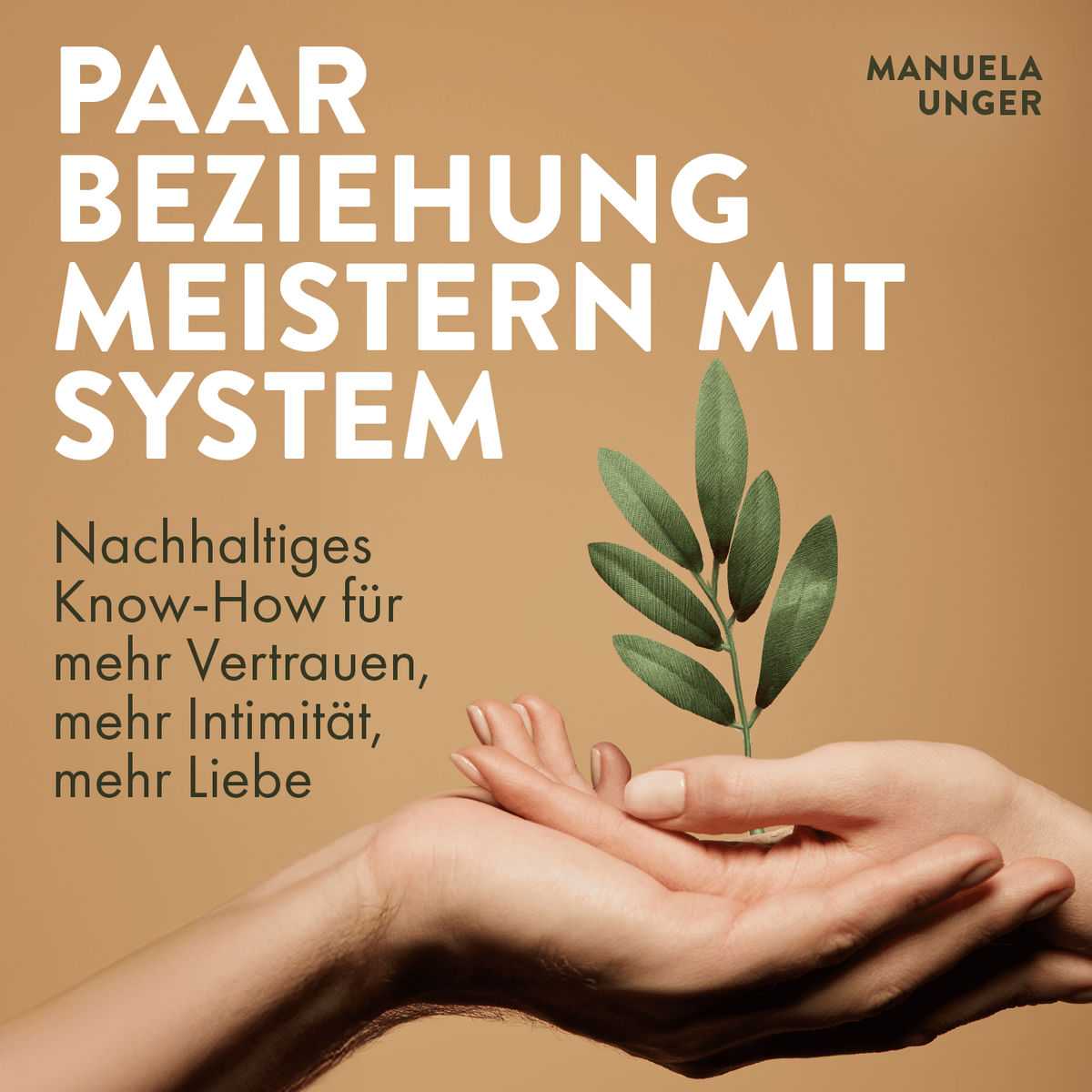 Show cover of Paarbeziehung meistern mit System. Nachhaltiges Know-How für mehr Vertrauen, Intimität und Liebe