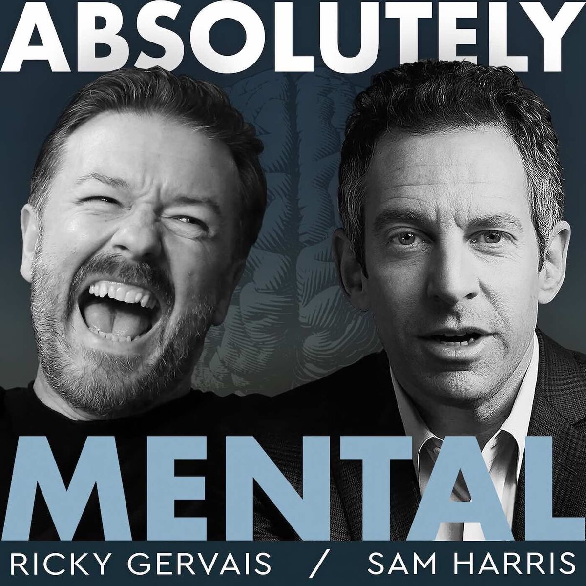 Show cover of Absolutely Mental