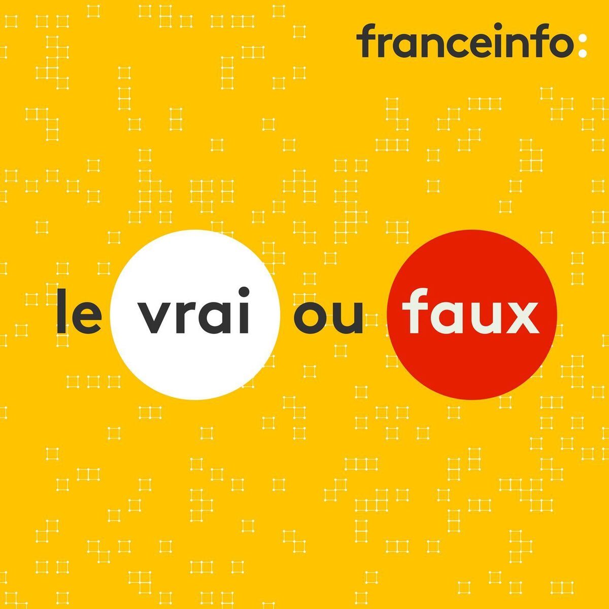 Show cover of Le vrai ou faux