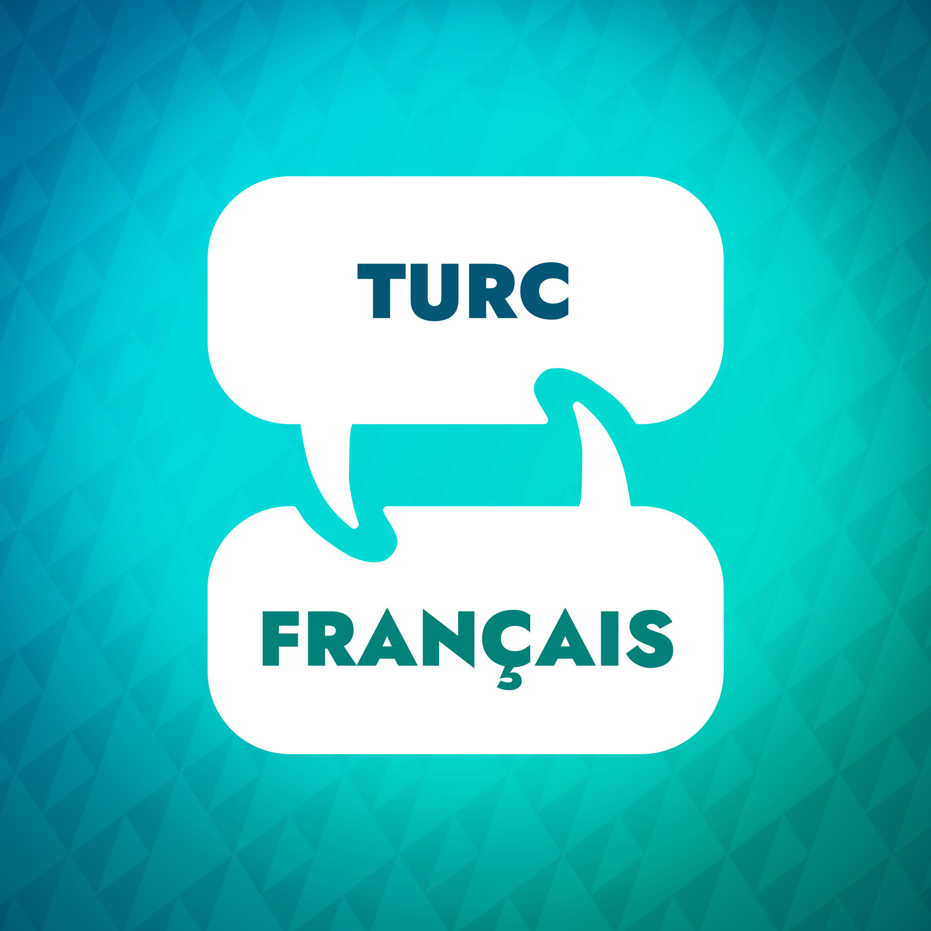 Show cover of Accélérateur d'apprentissage du turc
