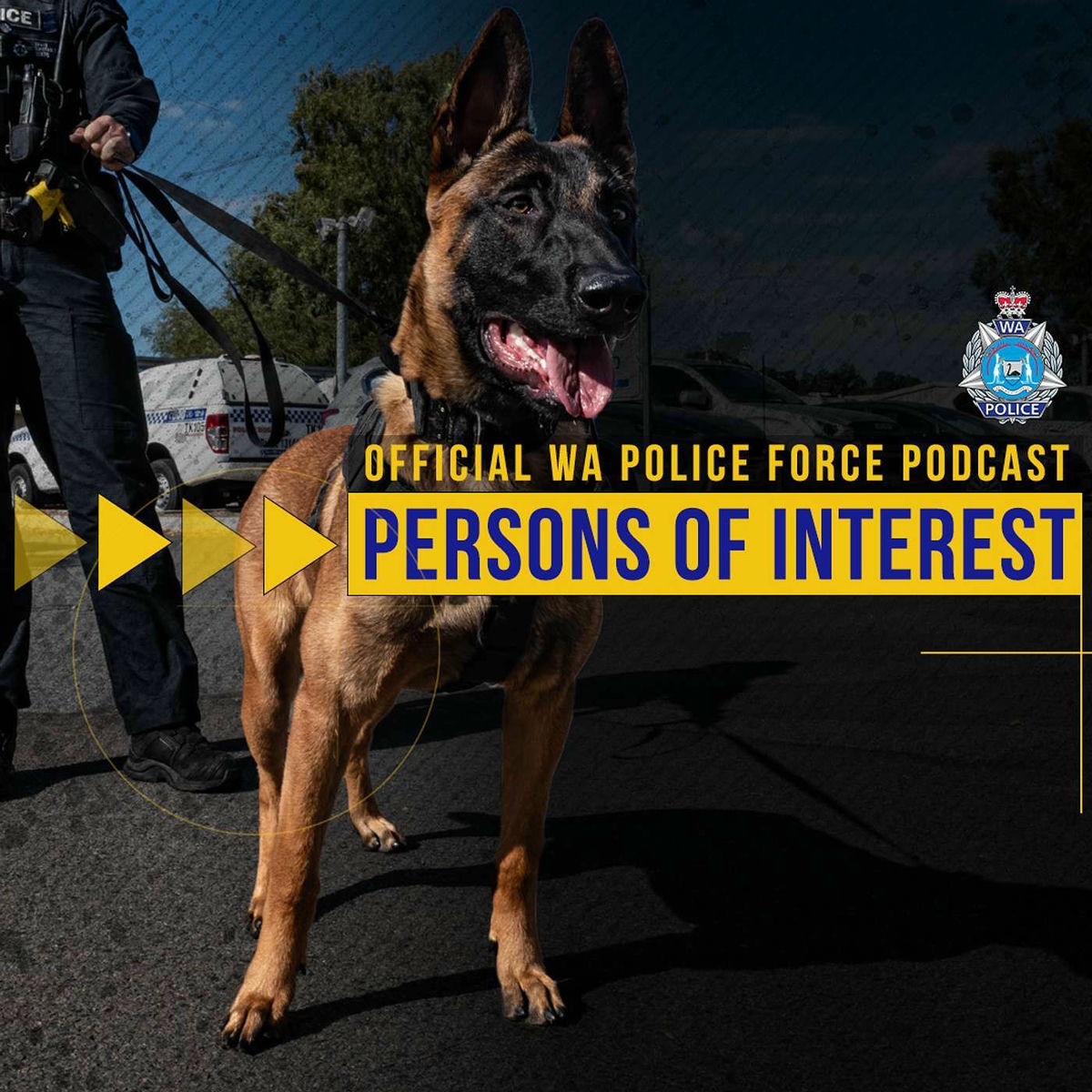 Show cover of Persons of Interest
