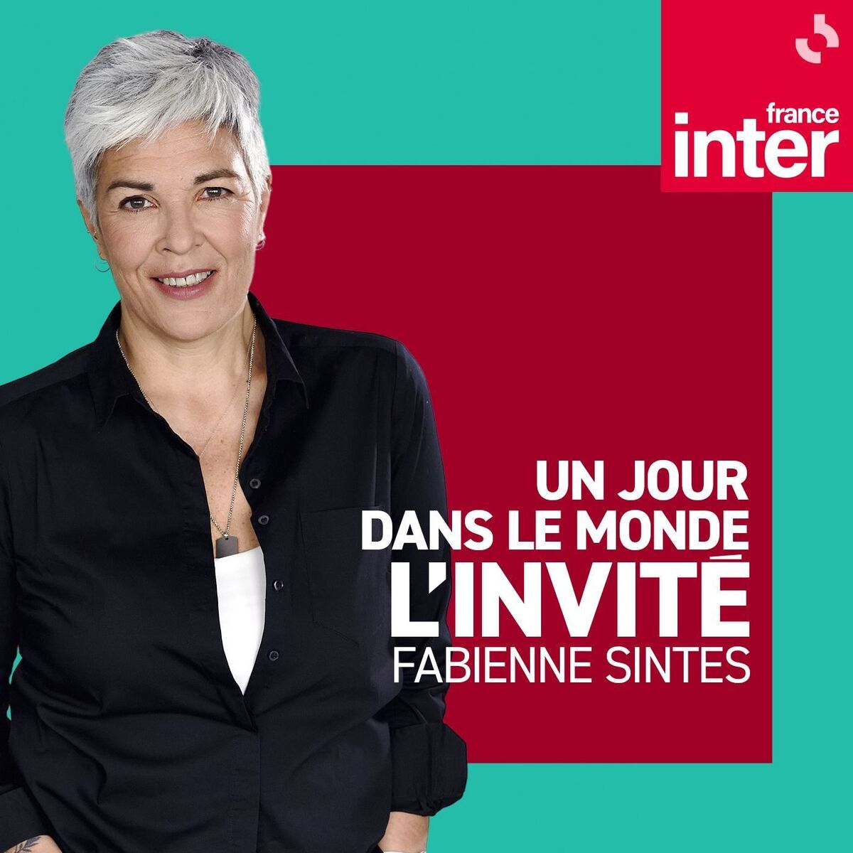 Show cover of L'invité d'un jour dans le monde