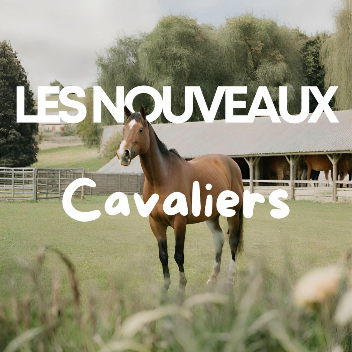 Show cover of Les Nouveaux Cavaliers