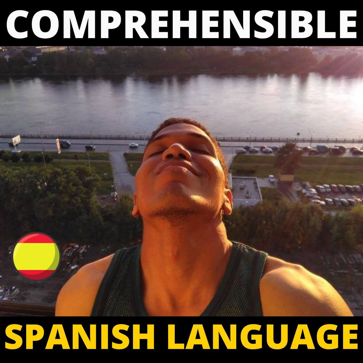 Show cover of Comprehensible Spanish Language